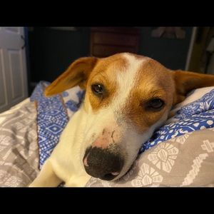 Meet your Posher, Letitia